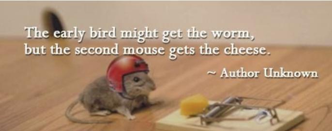 What sort of mouse is your organisation?